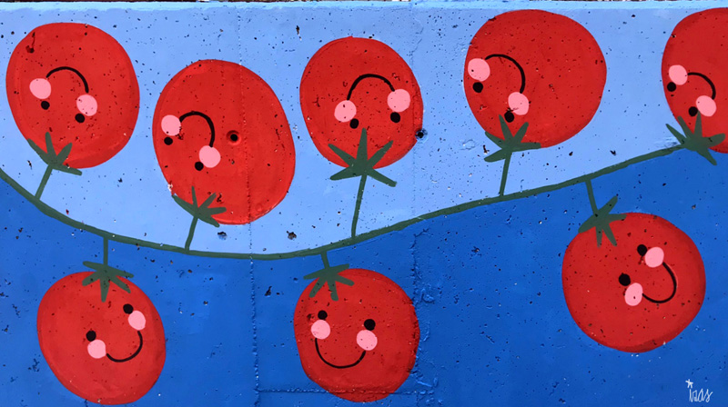 mural izas azulpatio ceip eduardo rojo huerto tomates cherry